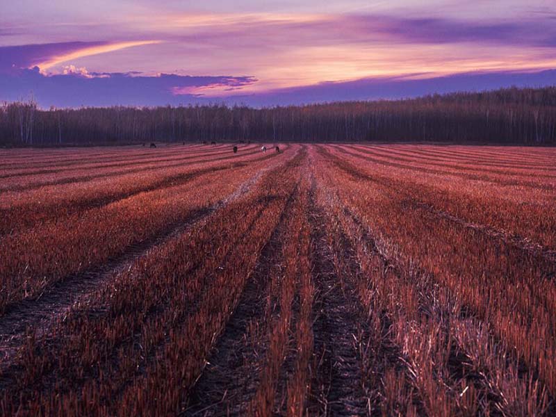 手持式土壤重金屬分析儀廠(chǎng)家（手持式土壤重金屬分析儀功能）